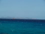 DSC00491