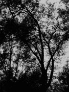P9040026