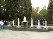 SDC11486