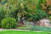 DSC005991