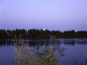 -2008 736