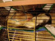 dsc01196