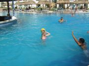 IMG 0839