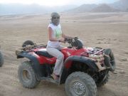 IMG 0852