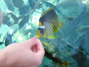IMG 0901