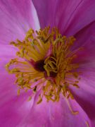 Floer #2