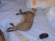 DSC01759