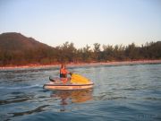 000006116352 %23 3 %23 grundane