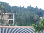 000006116382 %23 3 %23 grundane