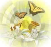 � ������