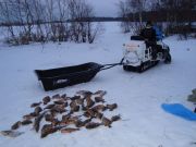  12-14  2008 022 (23)