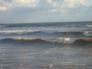 DSCF4236