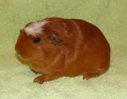 DSC02201