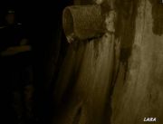 Untitled Panorama1