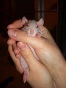 CIMG0332