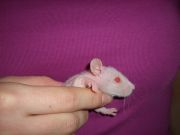 CIMG0290