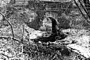  MG 2394