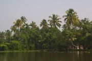 Back water, 