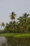 Back water, 