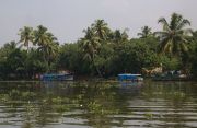 Back water, 