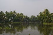 Back water, 