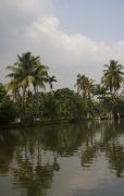 Back water, 