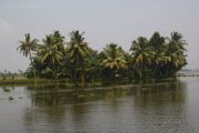 Back water, 