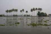 Back water, 