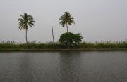Back water, 