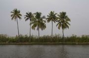 Back water, 