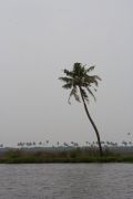 Back water, 