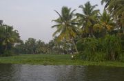 Back water, 