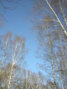 DSCN0799