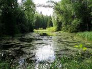 ������ �����