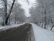 ���� ���������