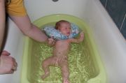IMG 0317