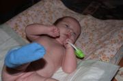 IMG 0331