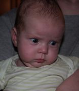 IMG 0355