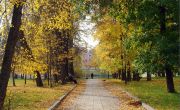 Красота осеннего увядания