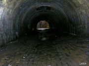 DSCF0041