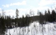 IMG 4167