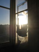 IMG 0424