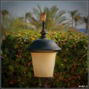 IMG 4867HDR ����� ������