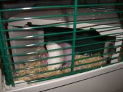 CIMG0966