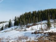 Лесной простор