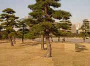 ��� �����