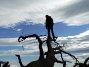 �� ���� � ����...