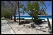 IMG 3488 copy