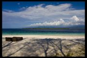 IMG 3953 copy