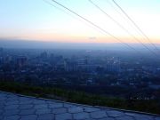 DSC03490